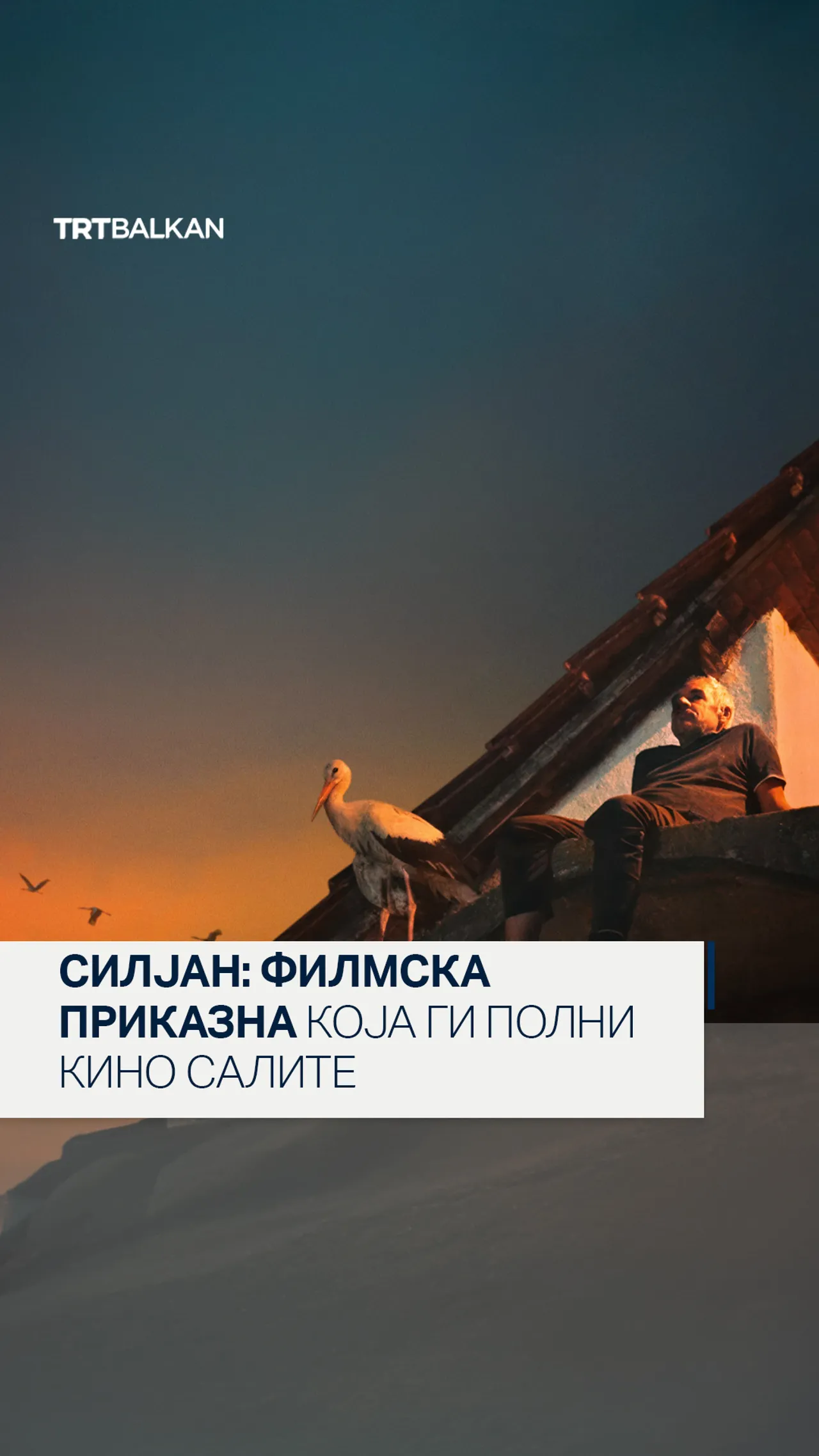 Силјан: Филмска приказна која ги полни кино салите