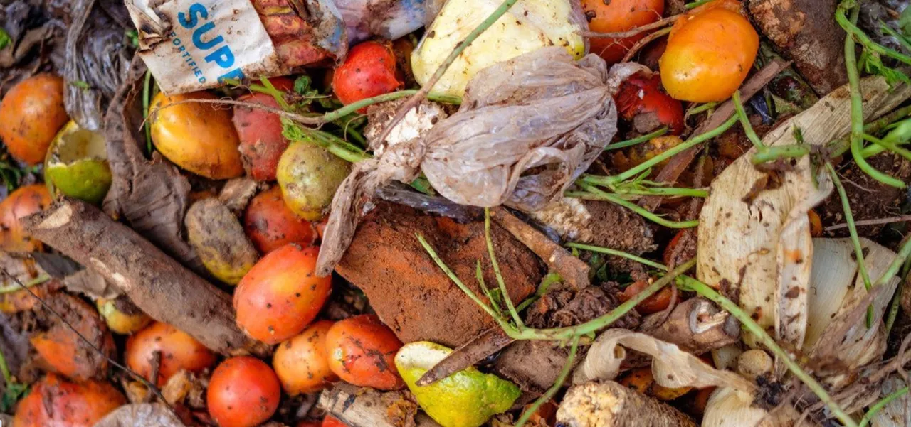 The rot within: how the food we waste is fueling a silent pandemic