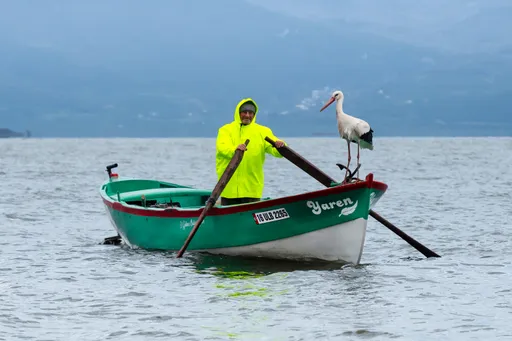 Prijateljstvo koje traje 15 godina: Roda Yaren se vratila svom ribaru