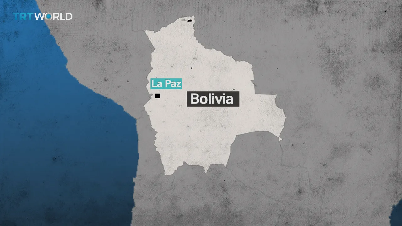 Casualties as Bolivia plane carrying cash crashes on cars