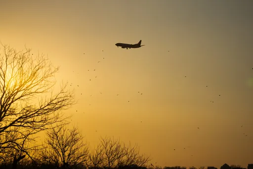 중국 국영 항공사, 6년 만에 북한 직항 노선 재개