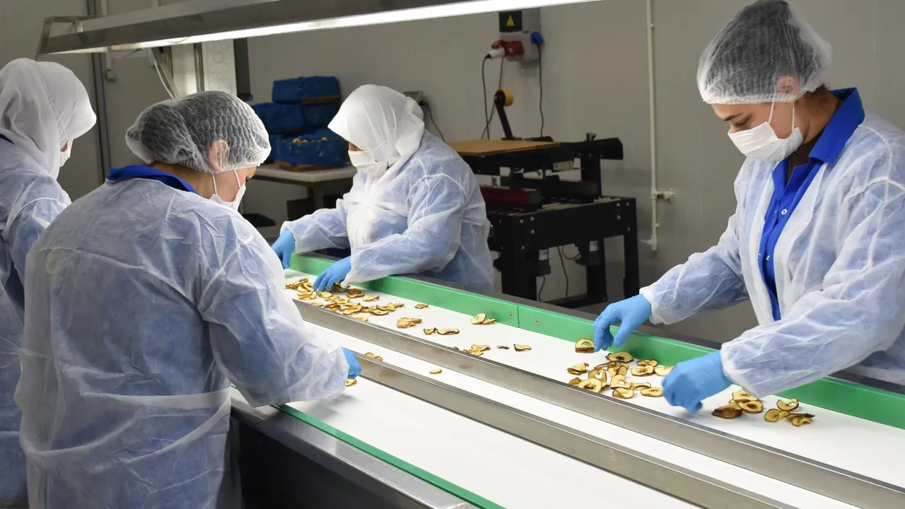 صادرات ۲۷٫۷۹ میلیارد دلاری بخش کشاورزی، غذا و نوشیدنی ترکیه در سال ۲۰۲۵