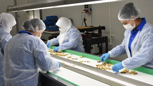 صادرات ۲۷٫۷۹ میلیارد دلاری بخش کشاورزی، غذا و نوشیدنی ترکیه در سال ۲۰۲۵