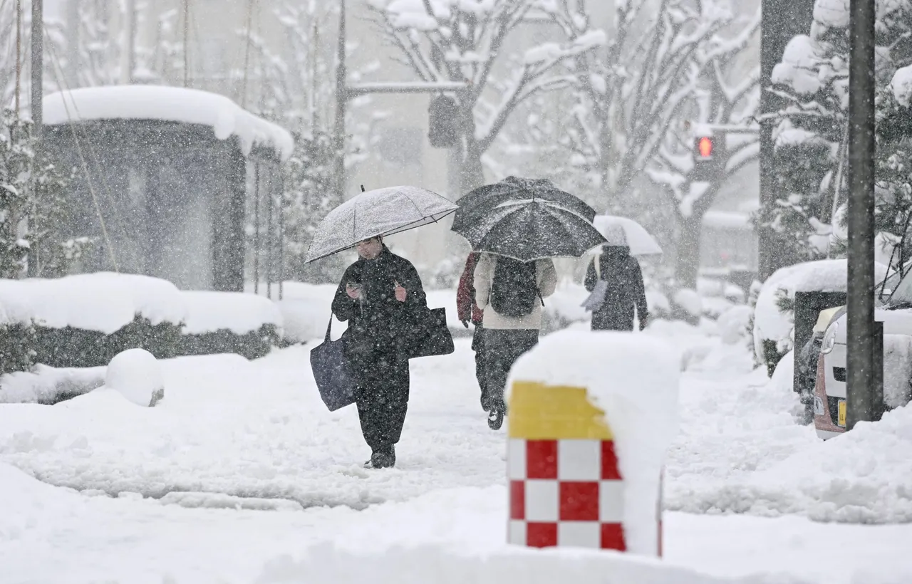 일본에서 폭설과 악천후로 35명 사망
