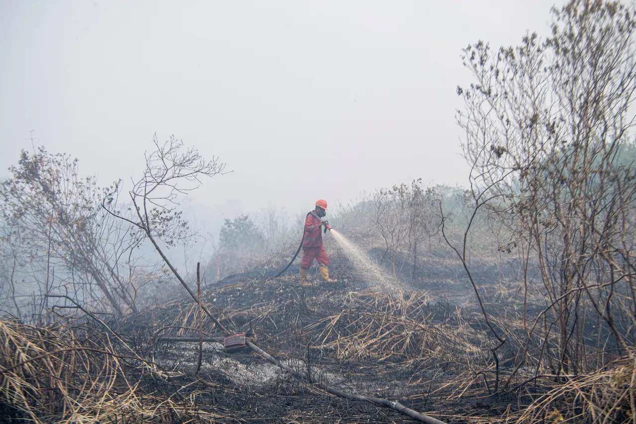 BMKG deteksi 160 titik panas, Riau waspada karhutla