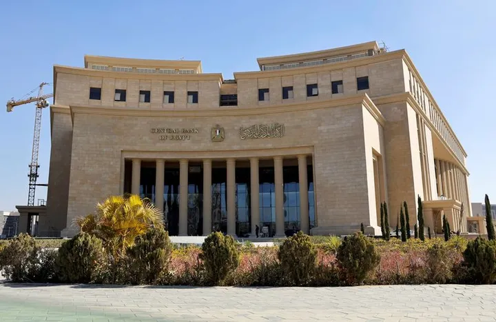 Egypt net foreign assets hit record $29.5 billion