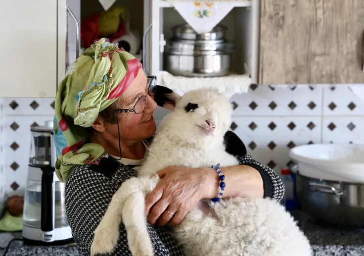 Gruaja që nuk ndahet nga qengji i saj bëhet burim drite edhe për një viç të verbër