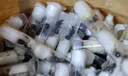 Kenya arrests Chinese national over attempt to smuggle 2,000 ants hidden in test tubes