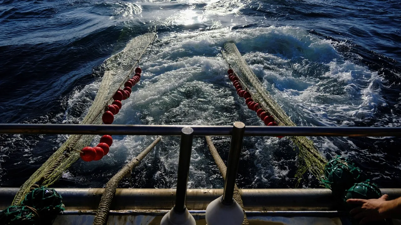 South Africa intercepts Chinese fishing vessels for unauthorised entry into its waters