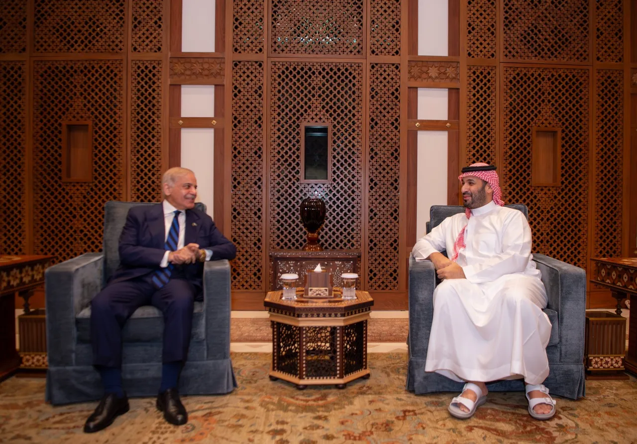 PM Sharif pledges Pakistan's 'full support' to Saudi Arabia