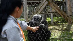 Sto godina skopskog zoološkog vrta – vizija Stanka Karamana postaje stvarnost