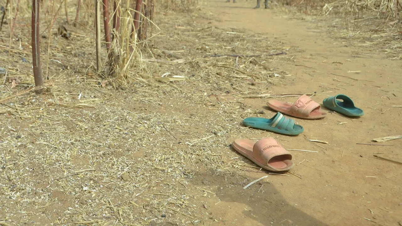 'Bandit' attack in central Nigeria kills 20 people