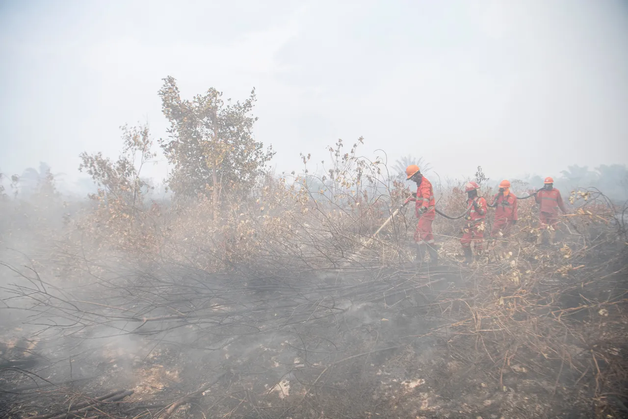 Tim gabungan terus padamkan karhutla di sejumlah wilayah Riau