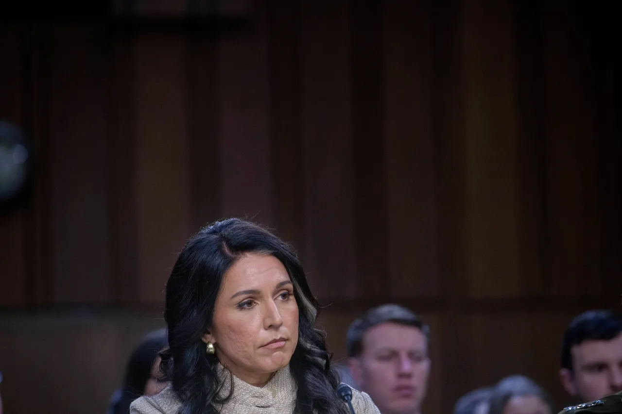 Senators grill Gabbard: If Iran's nuclear infrastructure was 'obliterated', why did US enter war?