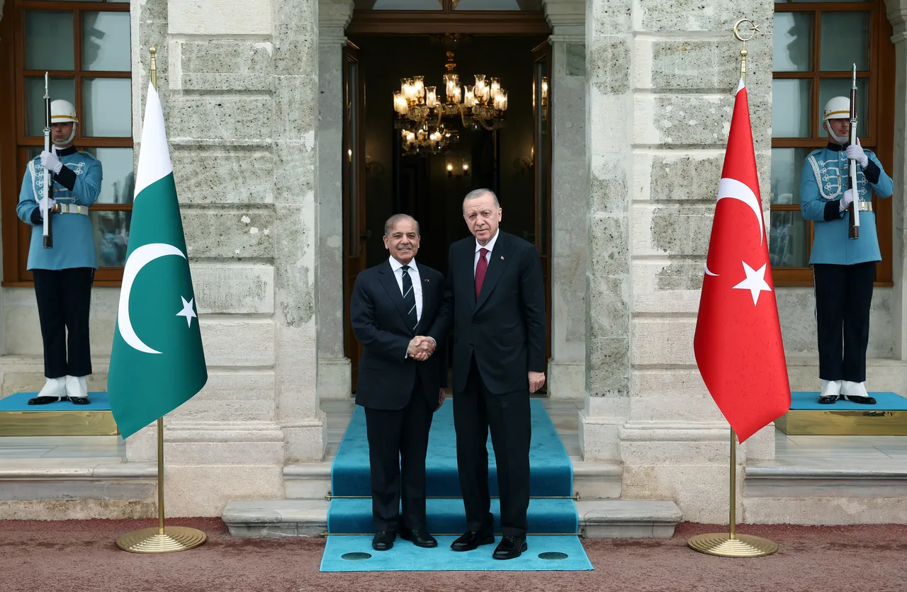 Türkiye's Erdogan, Pakistan’s Sharif discuss regional tensions