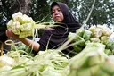 Jelang Iduladha 2026, harga cabai hingga daging sapi di Jakarta mulai naik