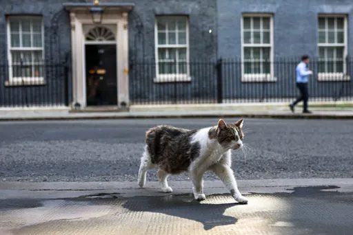 UK allows US to use bases for strikes on Iran near Hormuz