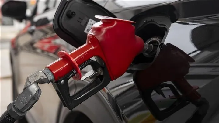 Vlada Crne Gore donijela maksimalne mjere ograničenja cijene goriva