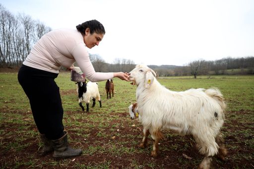 Stilistja turke e modës u shpërngul në fshatin ku bënte kamp për t u larguar nga stresi i Istanbulit
