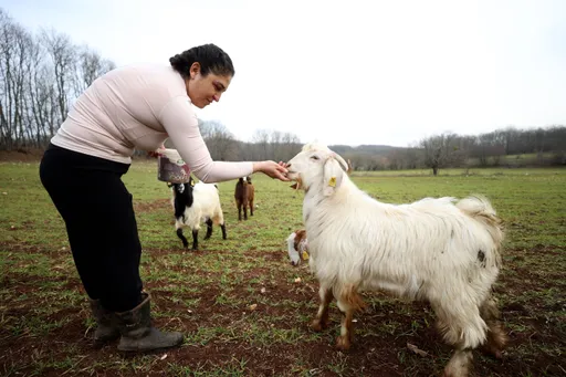 Stilistja turke e modës u shpërngul në fshatin ku bënte kamp për t'u larguar nga stresi i Istanbulit
