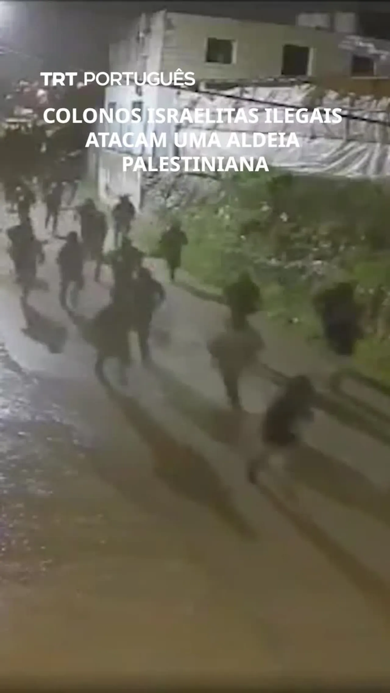 Colonos israelitas ilegais atacam uma aldeia palestiniana