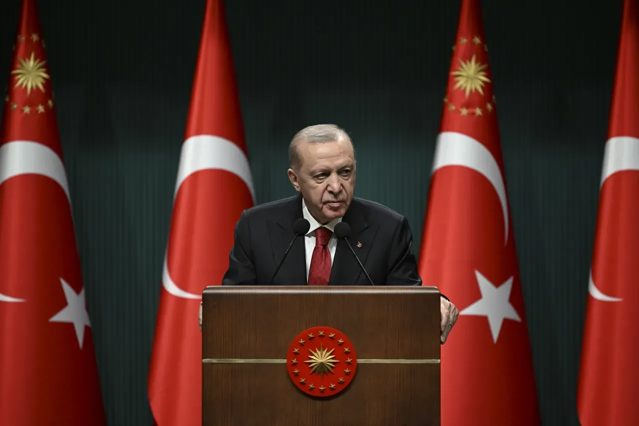 Ердоган: Туркије не паѓа во стапици, останува подалеку од „огнениот прстен“