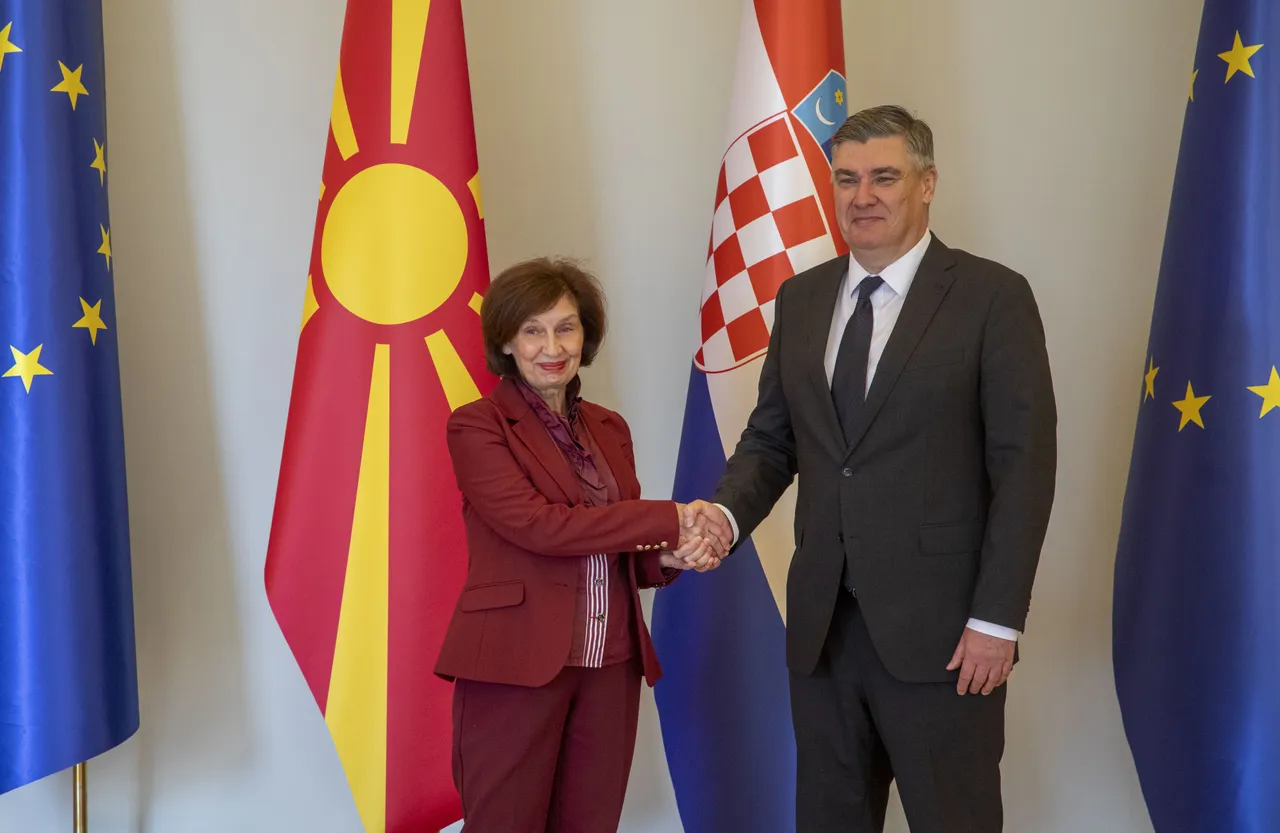 Milanović: Evropska unija je dobrodošla senzacija dok traje, ima uspješnog života i bez EU-a