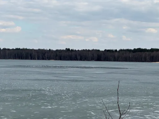 Litwa: Eksplozja drona przy granicy z Białorusią