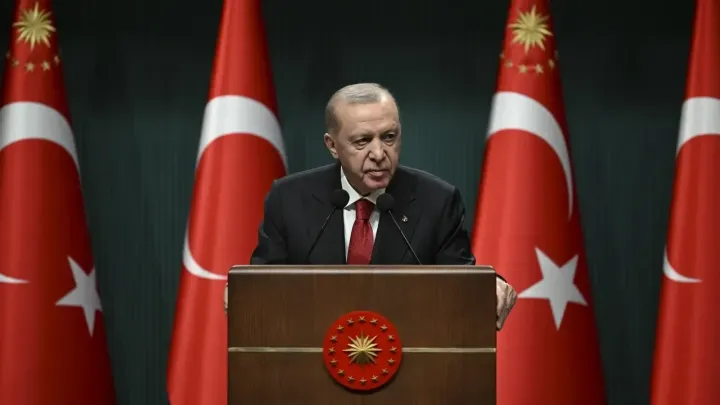 Türkiye determined to be 'outside the ring of fire': Erdogan