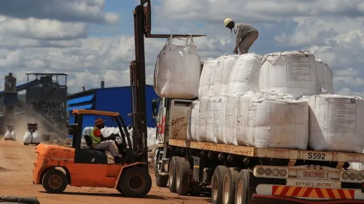 Zimbabwe lithium export ban triggers major crackdown