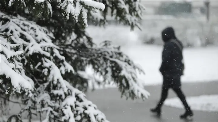 Vjetar rušio stabla u Zagrebu, otkazana nastava u školama