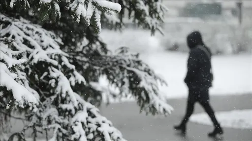 Vjetar rušio stabla u Zagrebu, otkazana nastava u školama