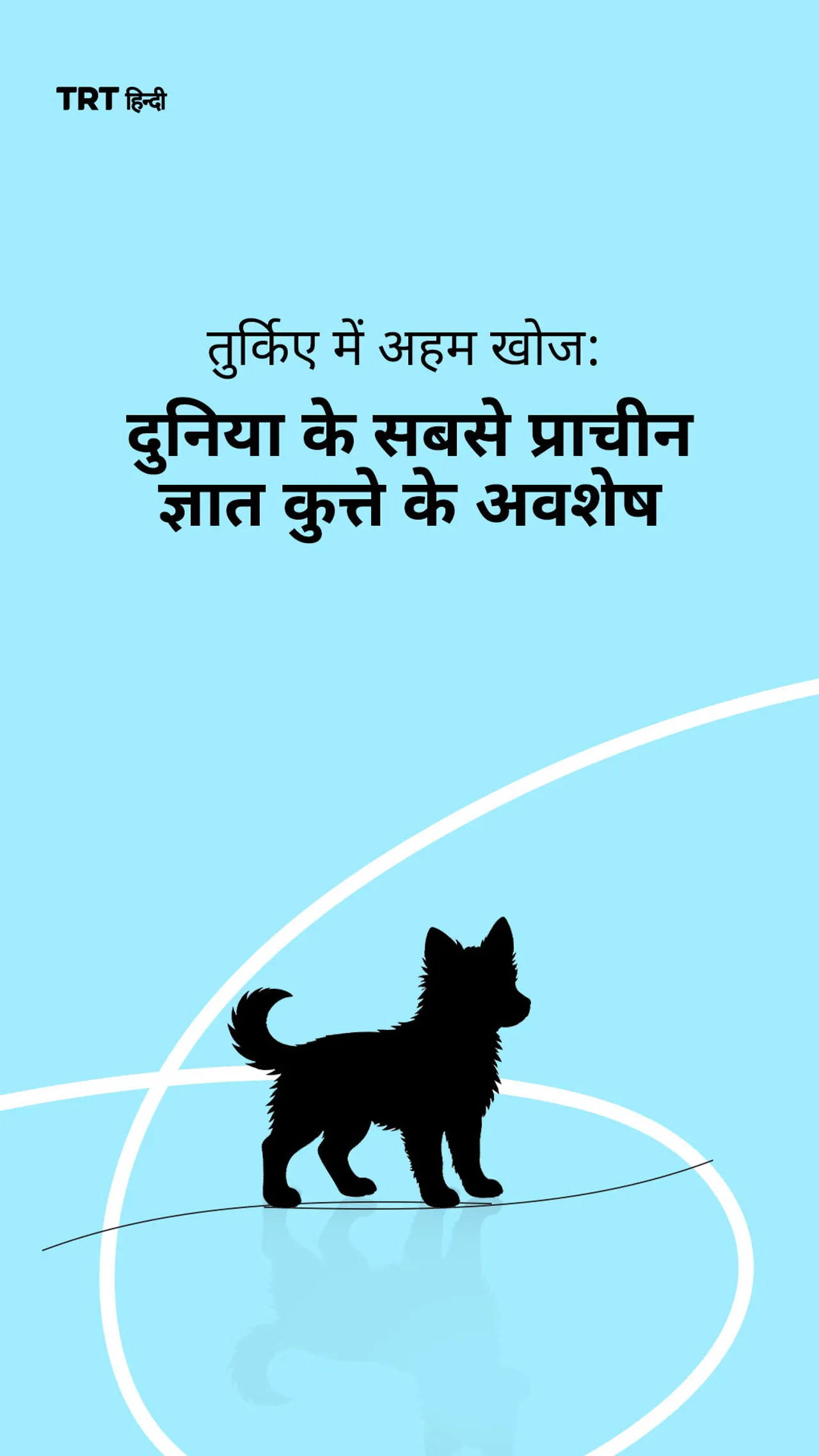 दुनिया के सबसे प्राचीन ज्ञात कुत्ते के अवशेष तुर्किए में खोजे गए