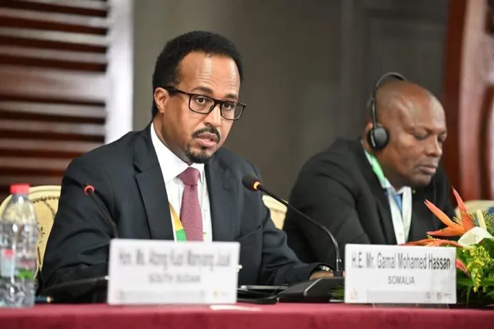 Soomaaliya oo ka qeybgashay Shirkii 14-aad ee Wasiirrada WTO oo ka dhacay Kaamaruun