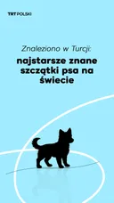 Znaleziono w Turcji: najstarsze znane szczątki psa na świecie