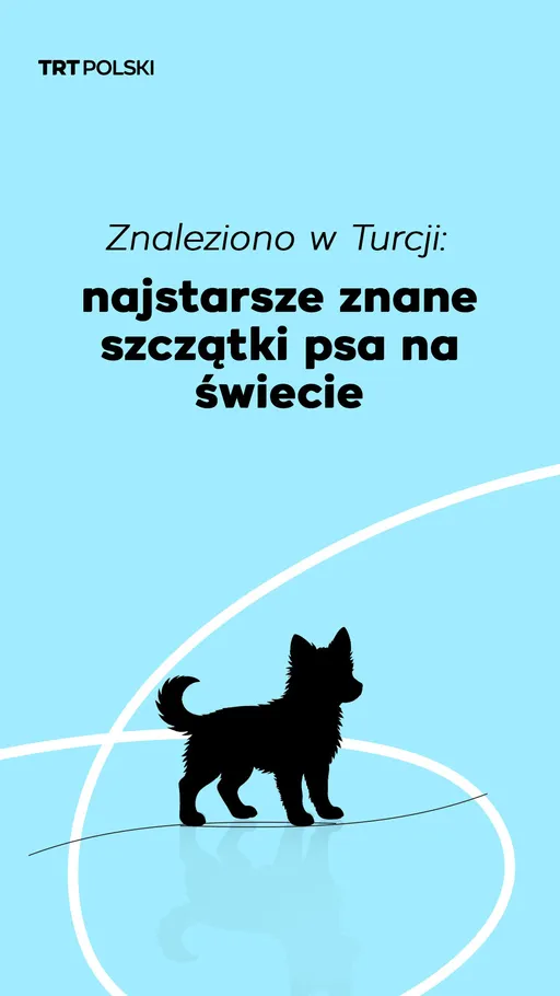 Znaleziono w Turcji: najstarsze znane szczątki psa na świecie