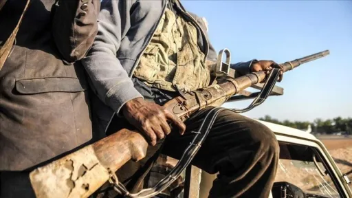 Armed attackers kill 16 civilians near Niger's border with Mali