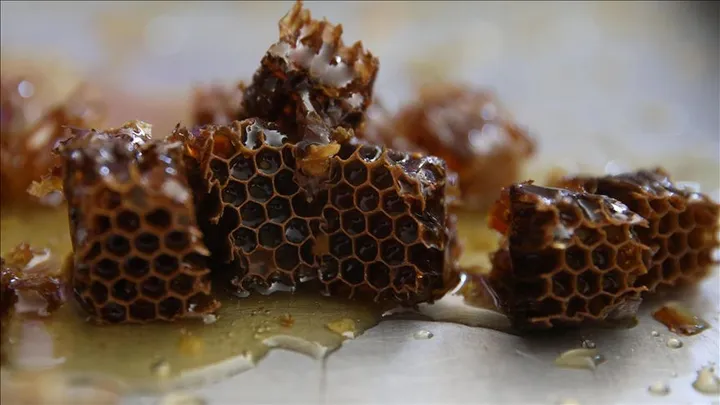 Türkiye, prodhuesi i dytë më i madh i mjaltit në botë, do të presë "Olimpiadën e Bletarisë" 2027