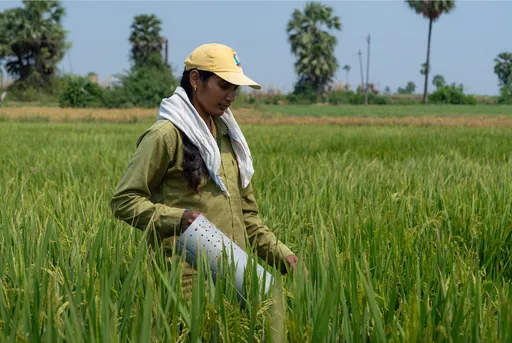 Kementan andalkan metode AWD untuk hemat air hadapi El Nino ekstrem