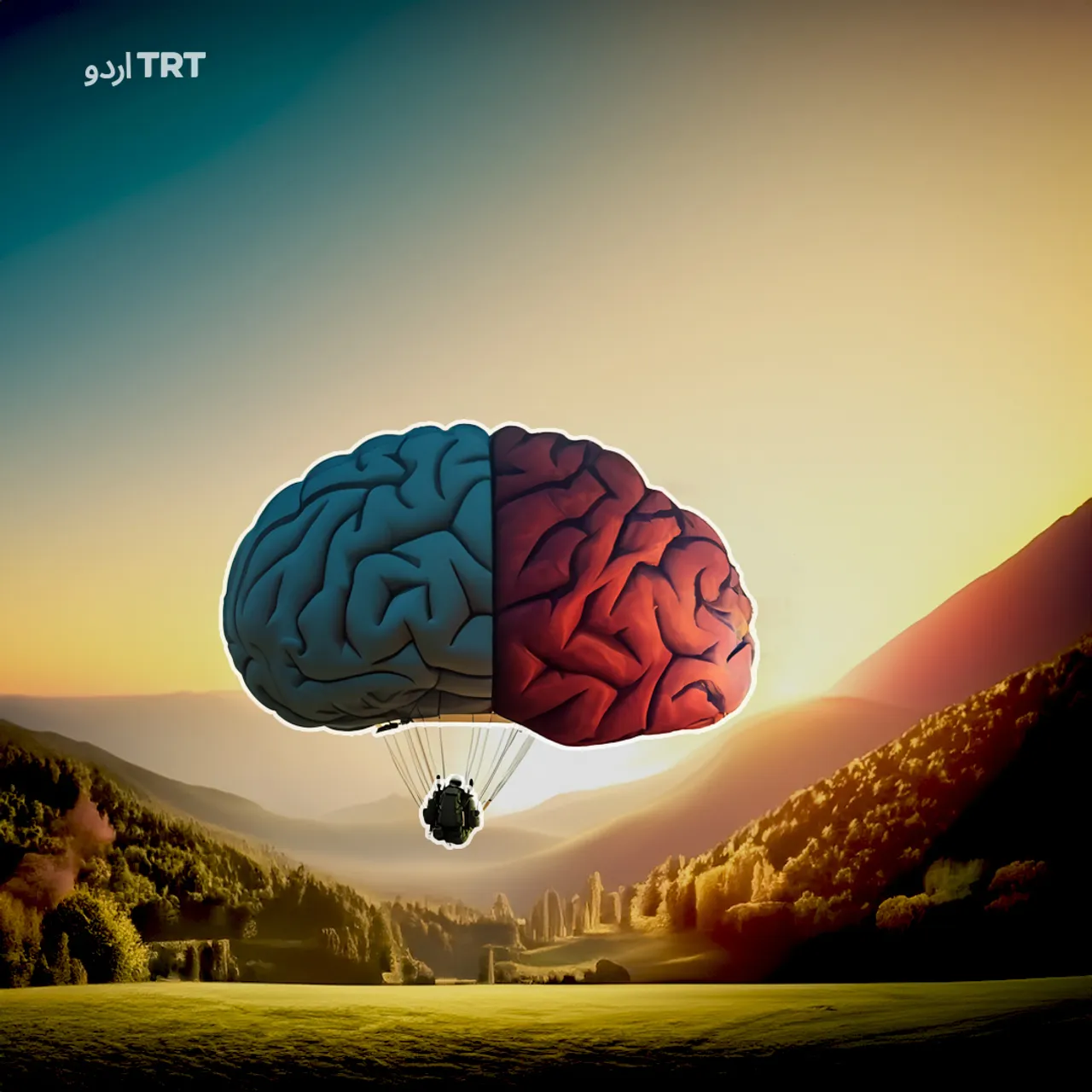 منفی سوچ کی طاقت: نوسیبو اثر کیا ہے؟