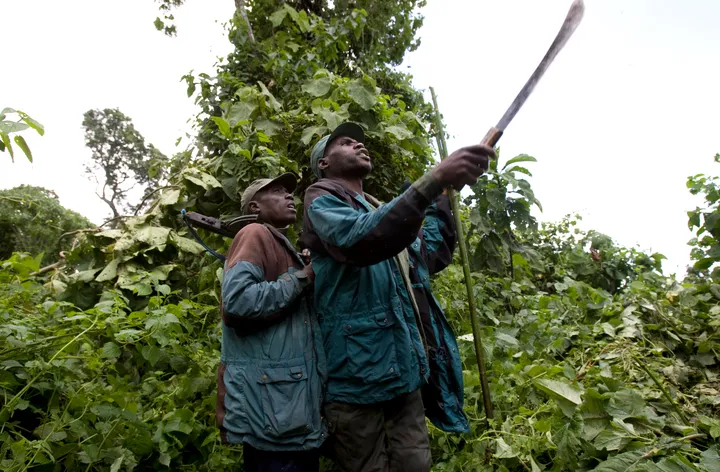 RDC : cinq morts dans l'attaque du quartier général du parc national de l'Upemba