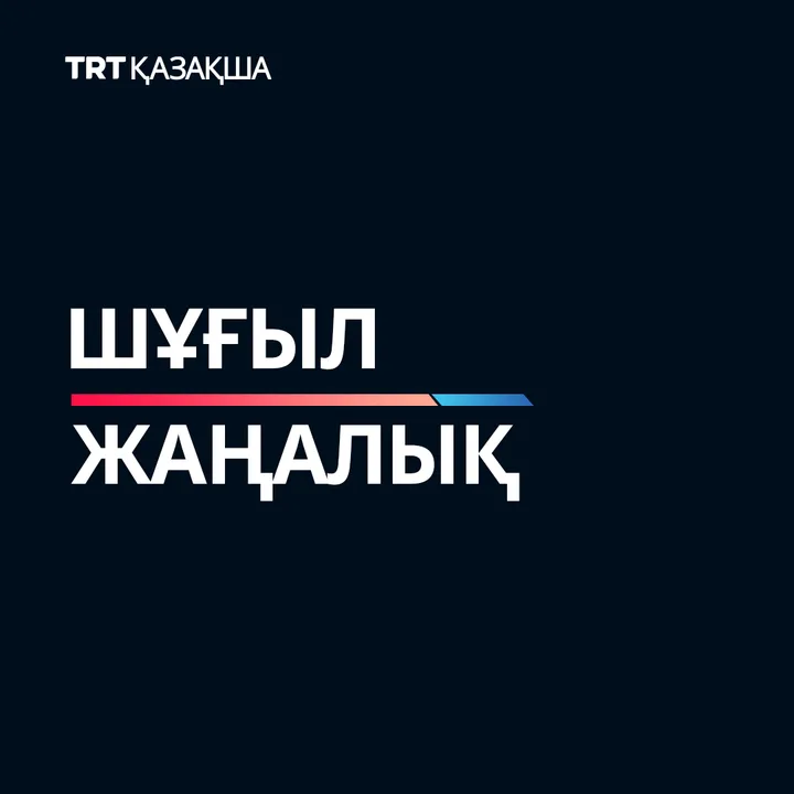 Ұлттық Қорғаныс министрлігі: «Түрік әуе кеңістігіне бағытталған баллистикалық оқ-дәрілер жойылды»