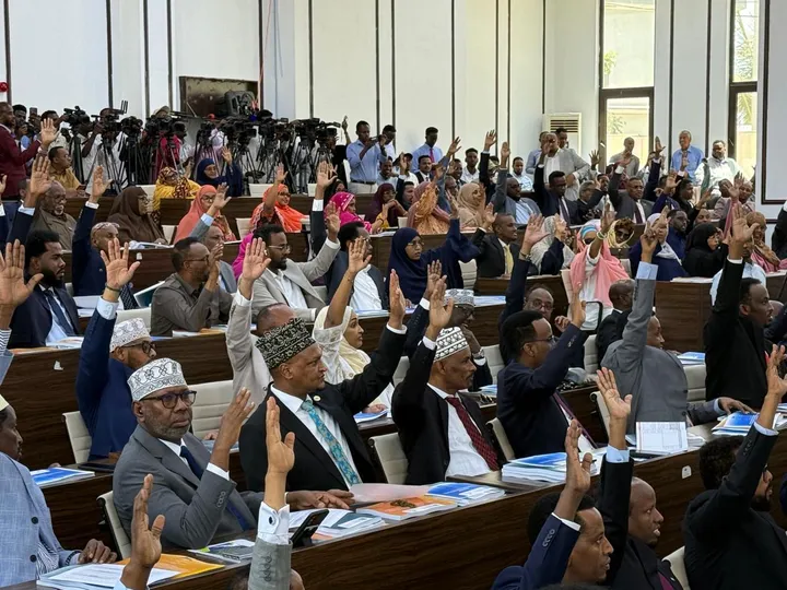 Somali Parliament approves first substantive constitution in decades