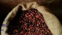 Côte d'Ivoire cuts cocoa producer price by nearly 60%: govt