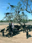 Utajiri wa Afrika: Morocco, asili yamafuta ya argan