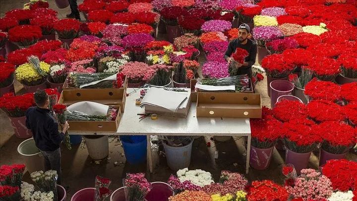 Türkiye eksporton 80 milionë lule në 35 vende për Ditën Ndërkombëtare të Gruas