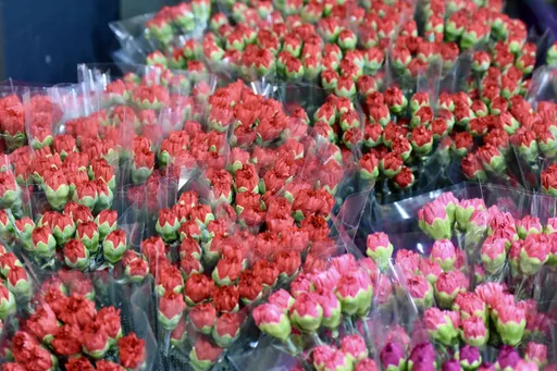 Туркије извезе 80 милиони цвеќиња во 35 земји по повод Меѓународниот ден на жената