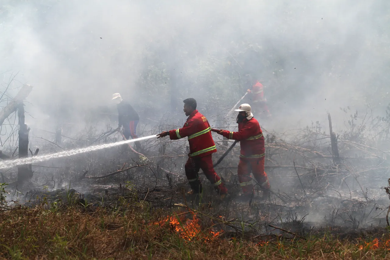 Lima daerah di Riau tetapkan siaga darurat karhutla di tengah peningkatan titik panas