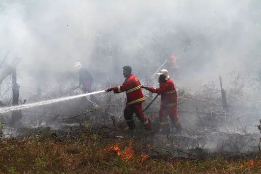 Lima daerah di Riau tetapkan siaga darurat karhutla di tengah peningkatan titik panas