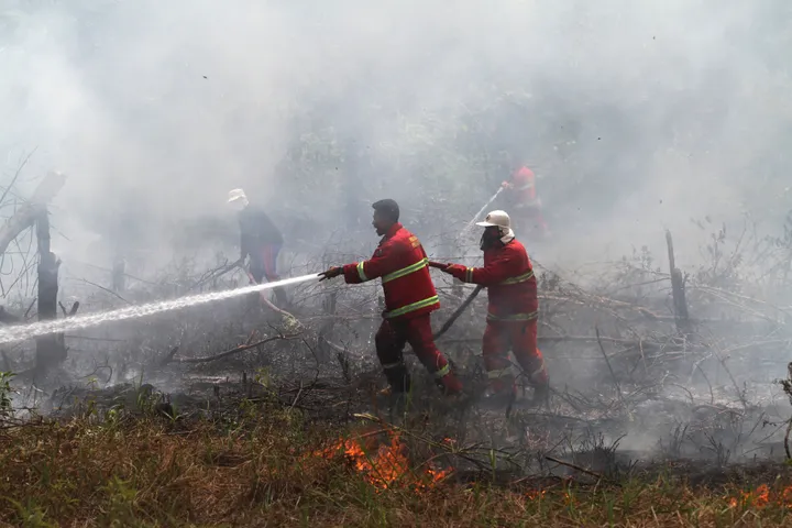 Lima daerah di Riau tetapkan siaga darurat karhutla di tengah peningkatan titik panas